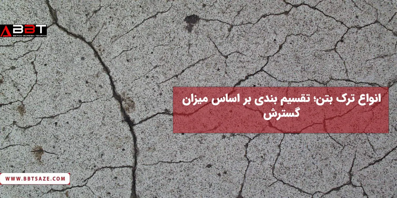تقسیم بندی براساس میزان گسترش